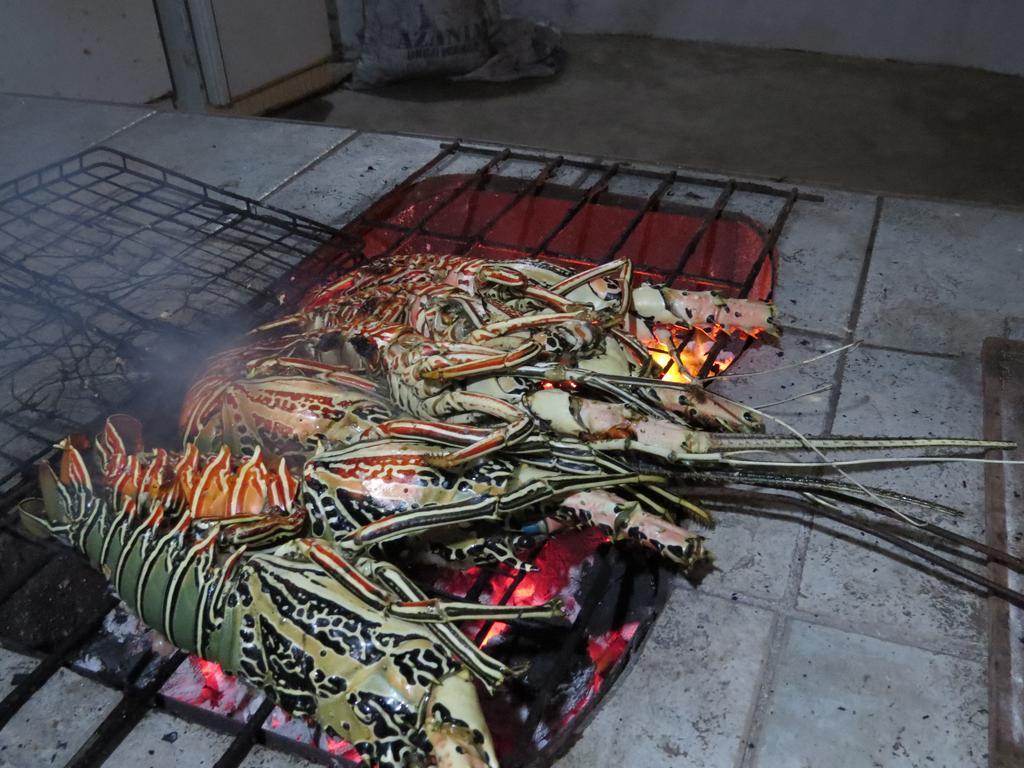 Game Fish Lodge ナングウィ エクステリア 写真